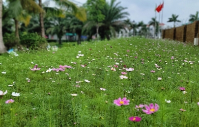 NHỮNG SẮC HOA VƯỜN ECOGARDEN