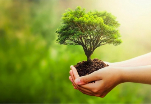 Giá trị cốt lõi