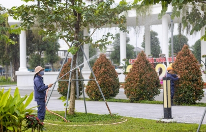 Một buổi sớm mai tại Ecogarden