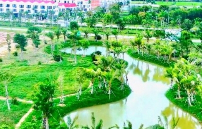 Cotana Group chung tay vì một Thừa Thiên Huế Xanh – Sạch – Sáng