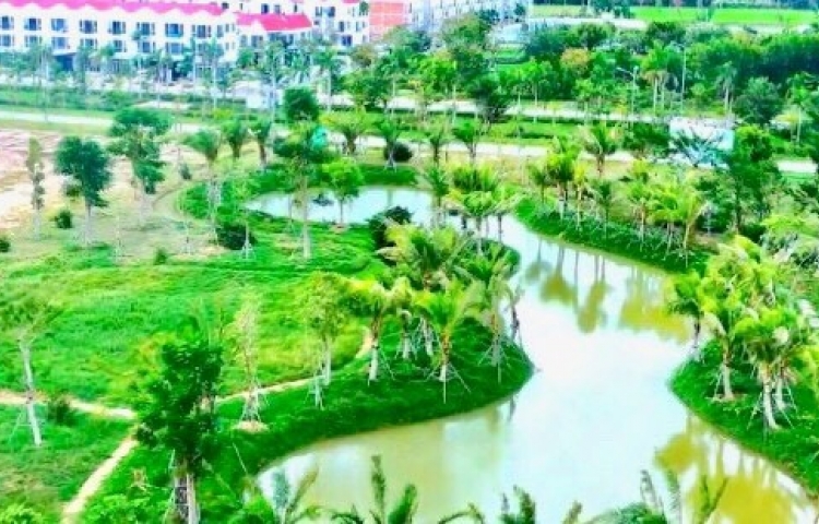 Cotana Group chung tay vì một Thừa Thiên Huế Xanh – Sạch – Sáng