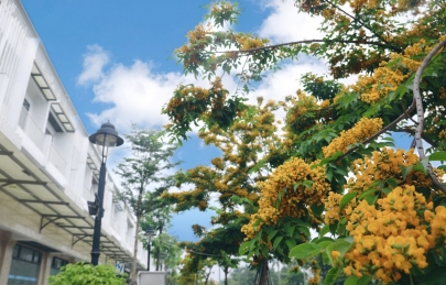 Màu Ecogarden, màu yêu thương và chữa lành