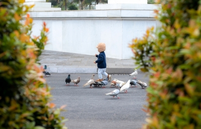 Tuổi thơ bình yên giữa lòng Ecogarden